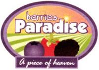 PARADISE A PIECE OF HEAVEN