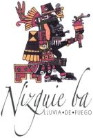 NIZGUIE BA LLUVIA DE FUEGO