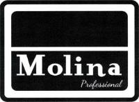 MOLINA PROFESSIONAL