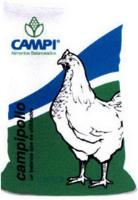CAMPIPOLLO UN BALANCE QUE DA UTILIDADES