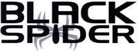 BLACK SPIDER