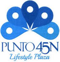 PUNTO 45N