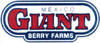 GIANT BERRY FARMS