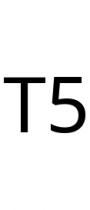 T5