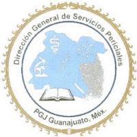 DIRECCION GENERAL DE SERVICIOS PERICIALES PGJ GUANAJUATO; MÉX.