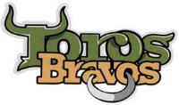 TOROS BRAVOS