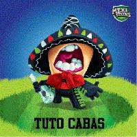MEXITOONS TUTO CABAS