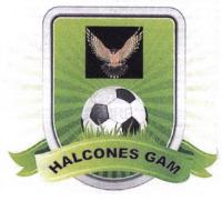 HALCONES GAM