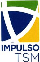 IMPULSO TSM S.A. DE C.V.