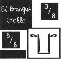 EL BRANGUS CRIOLLO 3858