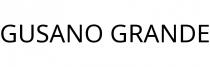 GUSANO GRANDE