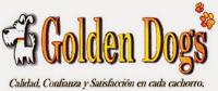 GOLDEN DOGS CALIDAD CONFIANZA Y SATISFACCIÓN EN CADA CACHORRO