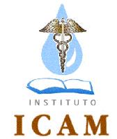 INSTITUTO ICAM