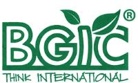 BGIC THINK INTERNATIONAL