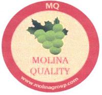 MQ MOLINA QUALITY WWW.MOLINAGROUP.COM
