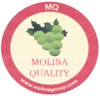 MQ MOLINA QUALITY WWW.MOLINAGROUP.COM