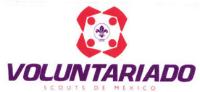 VOLUNTARIADO