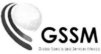 GSSM GLOBAL SPECIALIZED SERVICES MEXICO