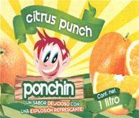 PONCHIN ¡UN SABOR DELICIOSO CON UNA EXPLOSION REFRESCANTE!
