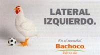 LATERAL IZQUIERDO. EN EL MUNDIAL BACHOCO TODOS LOS DIAS