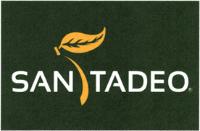 SAN TADEO