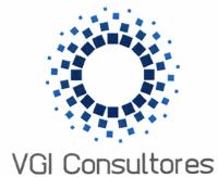 VGI CONSULTORES