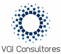 VGI CONSULTORES