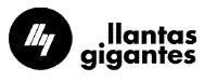 LLG LLANTAS GIGANTES