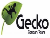 GECKO CANCUN TOURS