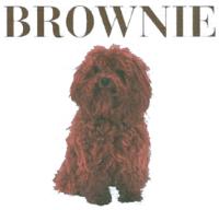 BROWNIE
