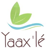 YAAX'LÉ