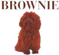 BROWNIE