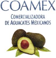 COAMEX;COMERCIALIZADORA DE AGUACATES MEXICANOS