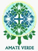 AMATE VERDE