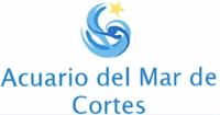 ACUARIO DEL MAR DE CORTES