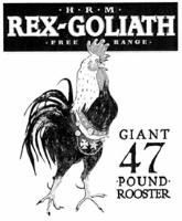 HRM REX-GOLIATH FREE RANGE GIANT 47 POUND ROOSTER