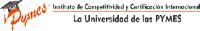 ICCI PYMES INSTITUTO DE COMPETITIVIDAD Y CERTIFICACIÓN INTERNACIONAL LA UNIVERSIDAD DE LAS PYMES