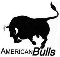 AMERICAN BULLS