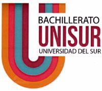 BACHILLERATO UNISUR UNIVERSIDAD DEL SUR