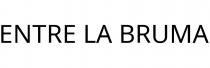 ENTRE LA BRUMA