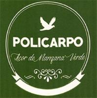 POLICARPO LICOR DE MANZANA VERDE