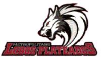 METROPOLITANO LOBOS PLATEADOS