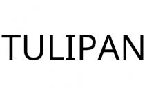 TULIPAN