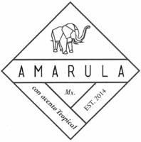 AMARULA CON ACENTO TROPICAL