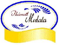 ILÁMATL MULATA