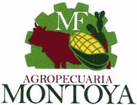 MF AGROPECUARIA MONTOYA