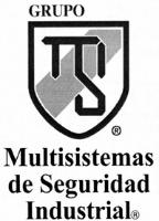 GRUPO MSI MULTISISTEMAS DE SEGURIDAD INDUSTRIAL