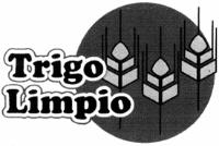 TRIGO LIMPIO