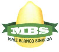 MBS MAÍZ BLANCO SINALOA