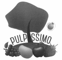 PULP SSIMO